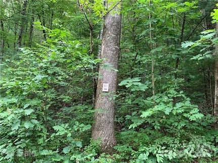 Ranch Property for sale in Transylvania County, North Carolina