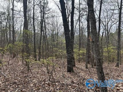 Farm Property for sale in Morgan County, Alabama