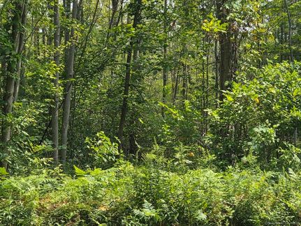 Farm Property for sale in Hartford County, Connecticut