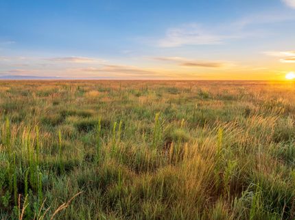 Farm Property for sale in Bailey County, Texas