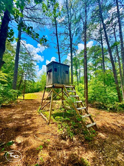 Farm Property for sale in Winston County, Alabama