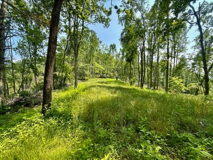Residential Property for sale in Johnson County, Tennessee