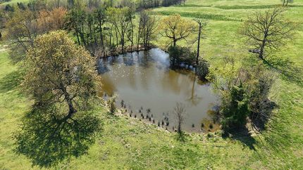 Farm Property for sale in Polk County, Arkansas