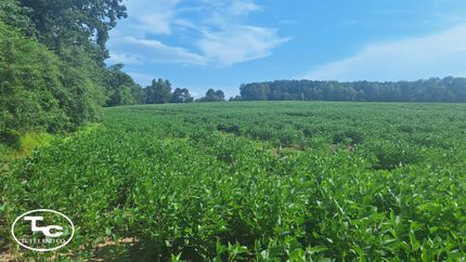 Hunting Land for sale in Etowah County, Alabama