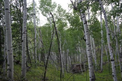 Property for sale in Teller County, Colorado