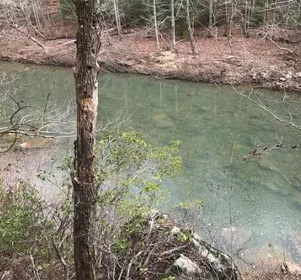 Farm Property for sale in Fentress County, Tennessee
