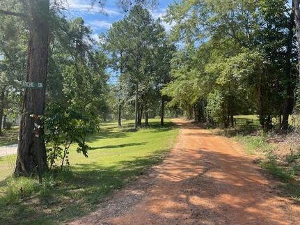 Property for sale in Barbour County, Alabama