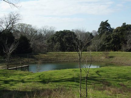 Timberland Property in Fayette County, Texas