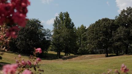 Recreational Property for sale in Hardeman County, Tennessee