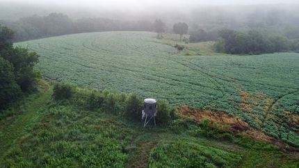 Farm Property for sale in Decatur County, Iowa