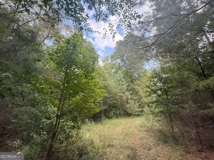 Riverfront Property for sale in Wilkes County, Georgia