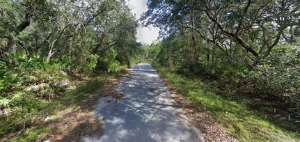 Undeveloped Land for sale in Marion County, Florida