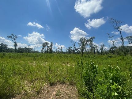 Residential Property for sale in Mobile County, Alabama