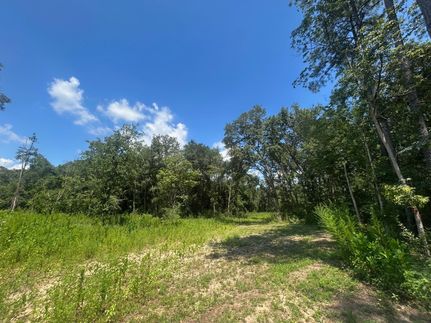 Undeveloped Land for sale in Mobile County, Alabama