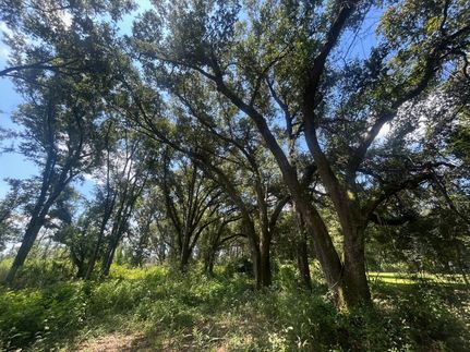 Residential Property for sale in Mobile County, Alabama