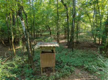 Commercial Property for sale in Pulaski County, Georgia