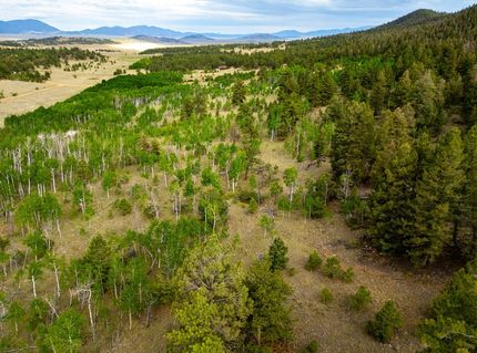 Hunting Land for sale in Park County, Colorado