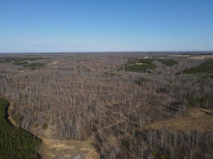 Hunting Land for sale in Stewart County, Tennessee