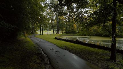 Property for sale in Madison County, Tennessee