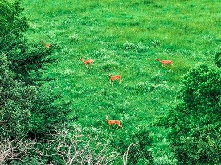 Property for sale in Hopkins County, Texas