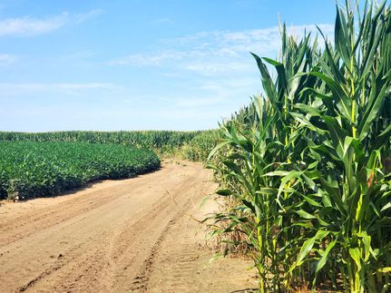 Property for sale in Coahoma County, Mississippi