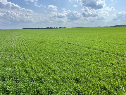 Farm Property for sale in Pennington County, Minnesota