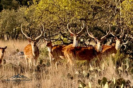 Ranch Property for sale in Menard County, Texas