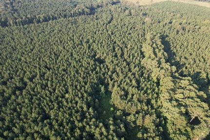 Farm Property for sale in Bradley County, Arkansas