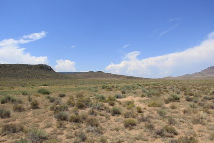 Undeveloped Land for sale in Costilla County, Colorado