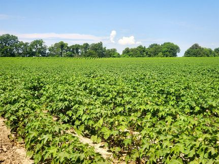 Property for sale in Coahoma County, Mississippi