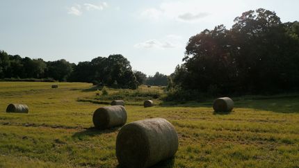 Farm Property for sale in Crockett County, Tennessee