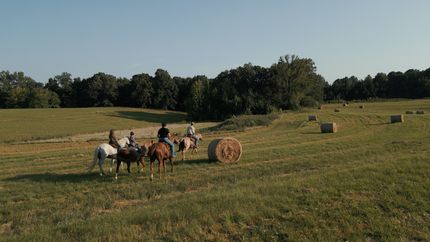 Ranch Property for sale in Crockett County, Tennessee