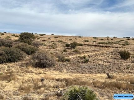 Undeveloped Land for sale in Grant County, New Mexico
