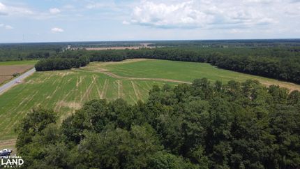Farm Property for sale in Clarendon County, South Carolina