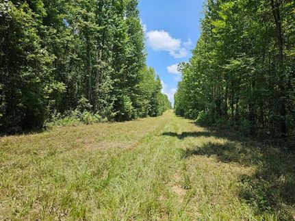 Ranch Property for sale in Webster Parish, Louisiana
