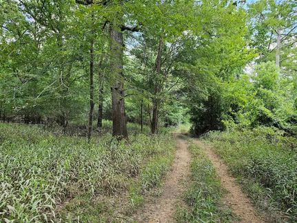 Timberland Property for sale in Webster Parish, Louisiana