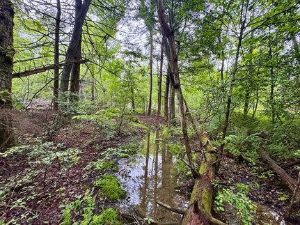Farm Property in Morgan County, Tennessee