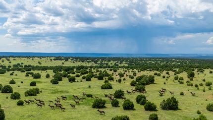 Property for sale in San Miguel County, New Mexico