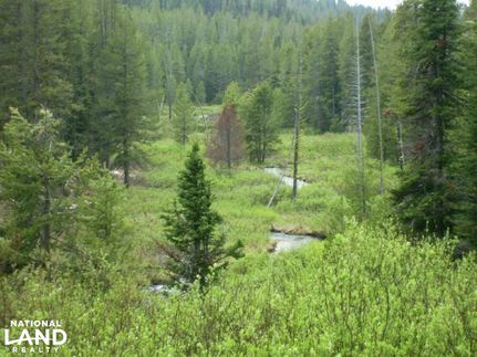Timberland Property for sale in Boise County, Idaho
