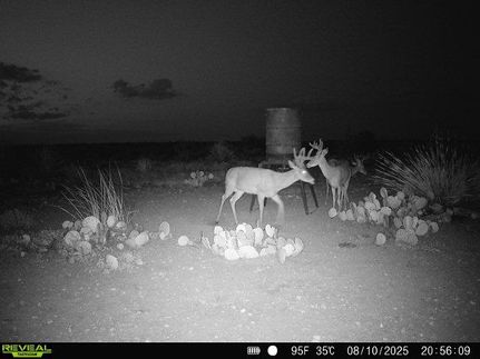 Recreational Property for sale in Val Verde County, Texas