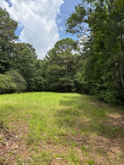 Property for sale in Monroe County, Alabama