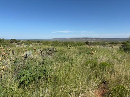 Hunting Land for sale in Quay County, New Mexico