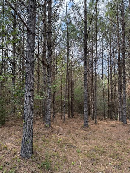 Timberland Property for sale in Monroe County, Alabama