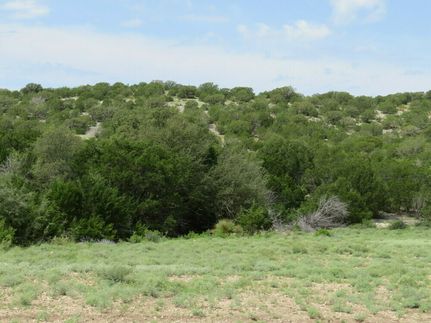 Undeveloped Land for sale in Edwards County, Texas
