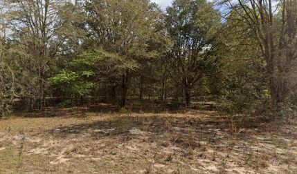 Undeveloped Land for sale in Putnam County, Florida