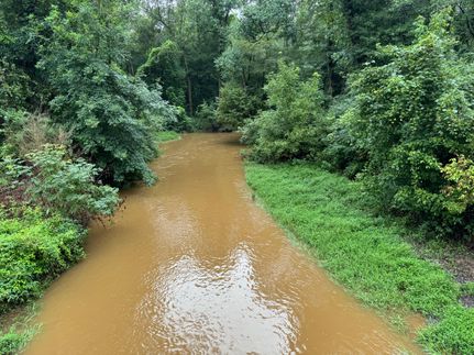 Property in Richmond County, North Carolina