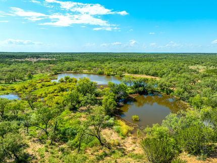 Timberland Property for sale in McCulloch County, Texas
