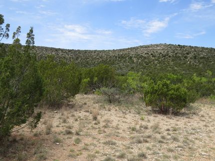 Residential Property for sale in Coke County, Texas