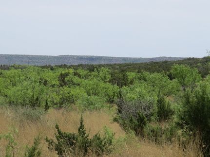 Recreational Property for sale in Coke County, Texas
