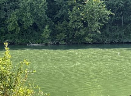 Riverfront Property for sale in Sharp County, Arkansas